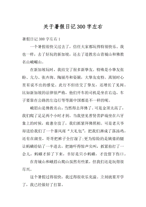 关于暑假日记300字左右范文.docx