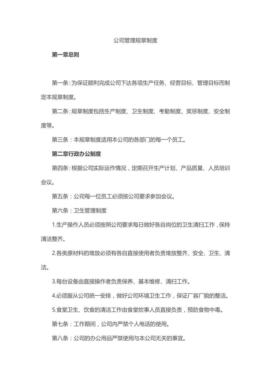 公司管理规章制度2.docx_第1页