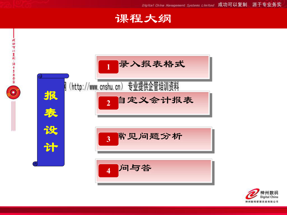 标准与自定义财务报表格式的设计.pptx_第2页