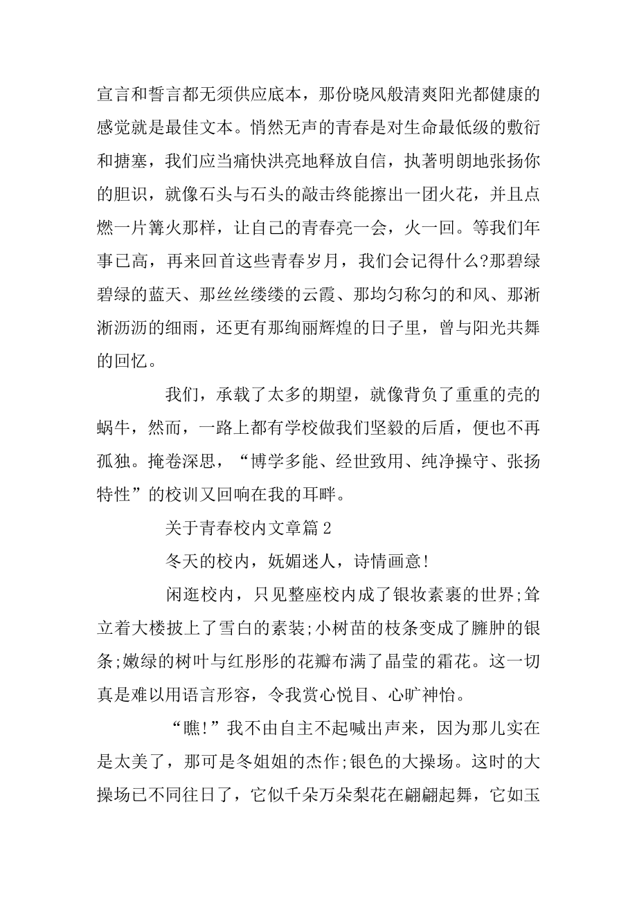 关于青春校园文章5篇范例.docx_第2页