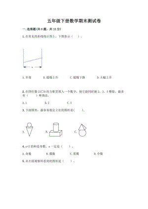 五年级下册数学期末测试卷带答案AB卷.docx