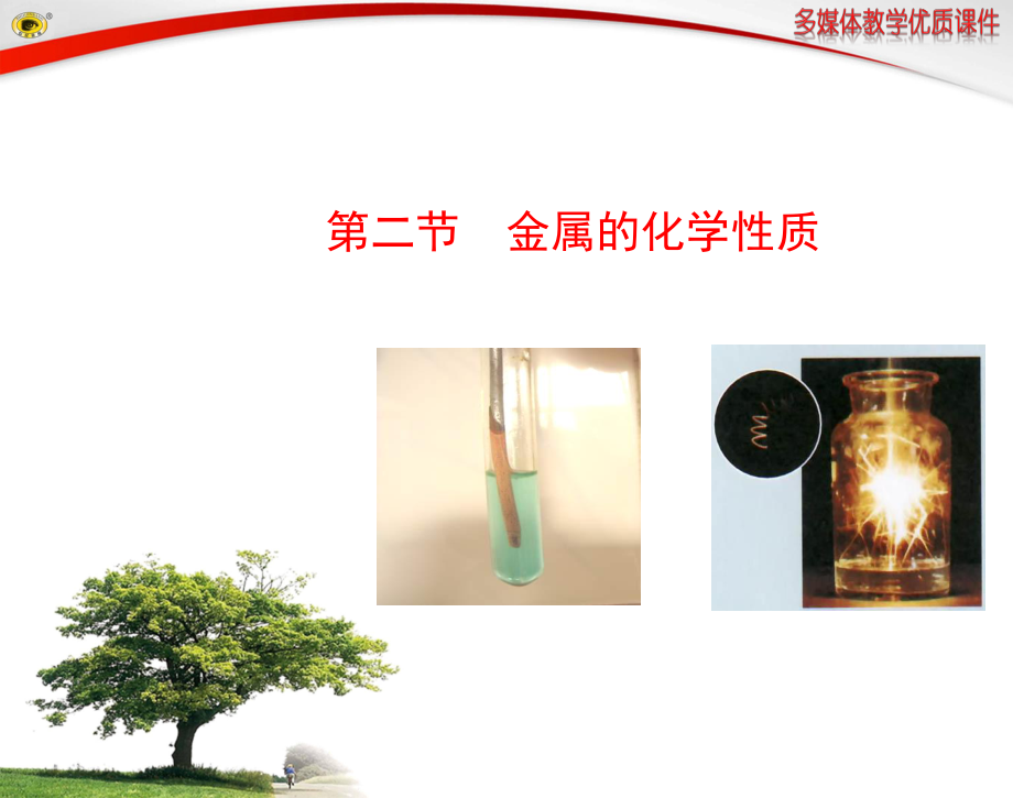 第二节金属的化学性质.ppt_第1页