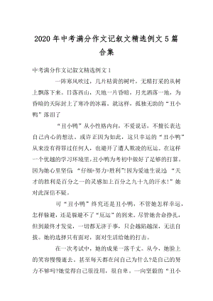 2020年中考满分作文记叙文精选例文5篇合集汇编.docx