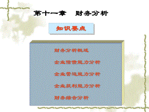 第11章财务分析.pptx