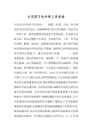 公司实习生年终工作总结最新.docx