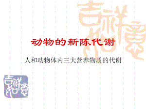 动物的新陈代谢.ppt