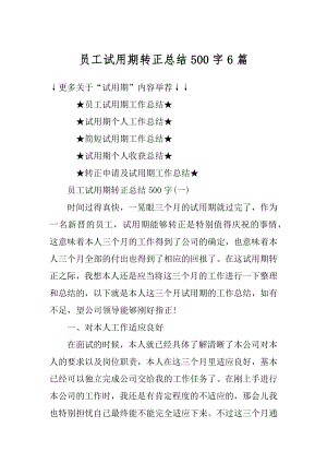 员工试用期转正总结500字6篇精选.docx