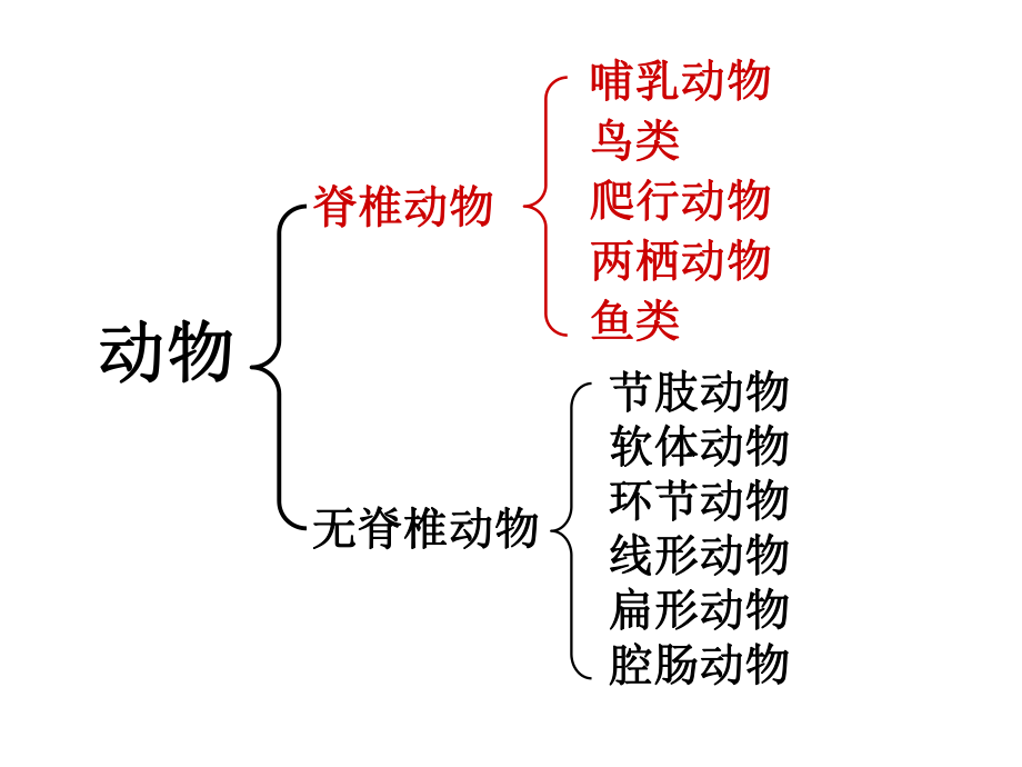 第五单元_第一章_动物的主要类群复习课件.ppt_第2页