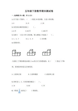 五年级下册数学期末测试卷含答案(巩固).docx