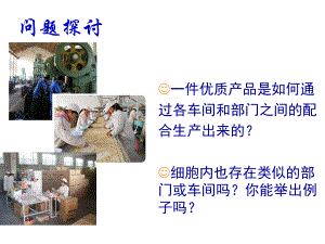 细胞器课件.ppt