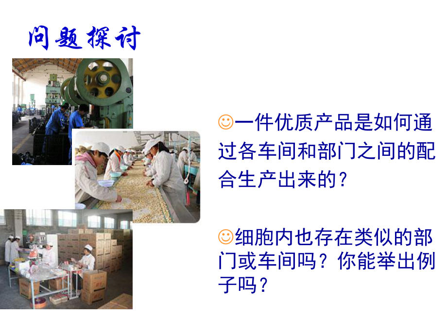 细胞器课件.ppt_第1页