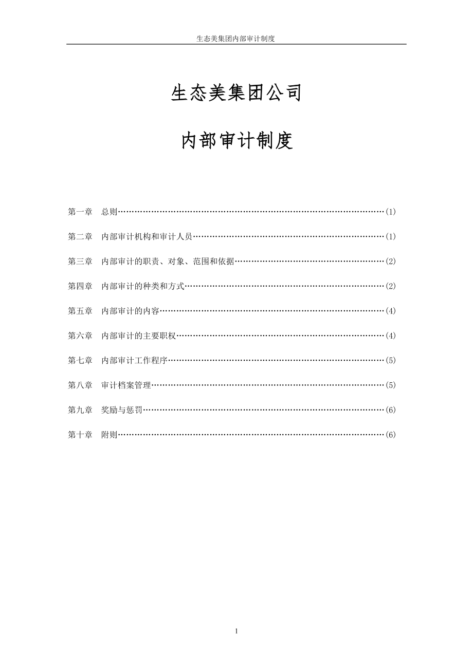 财务内部审计制度[1].docx_第1页