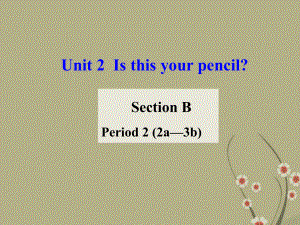 七年级英语上册_Unit_3_Is_this_your_pencil_Period_2_Section_B_2a-3b课件_(新版)人教新目标版 (2).ppt