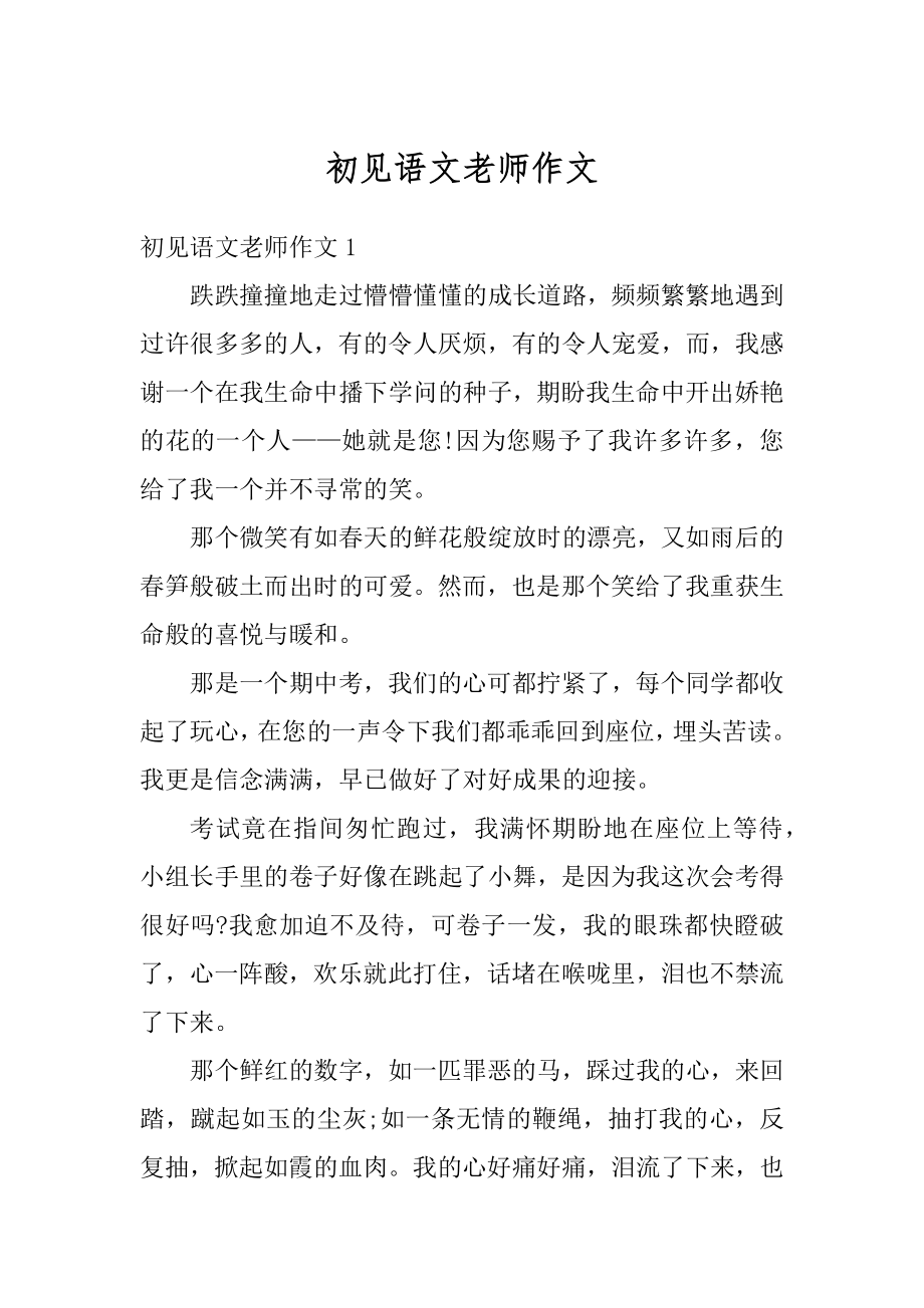 初见语文老师作文汇总.docx_第1页