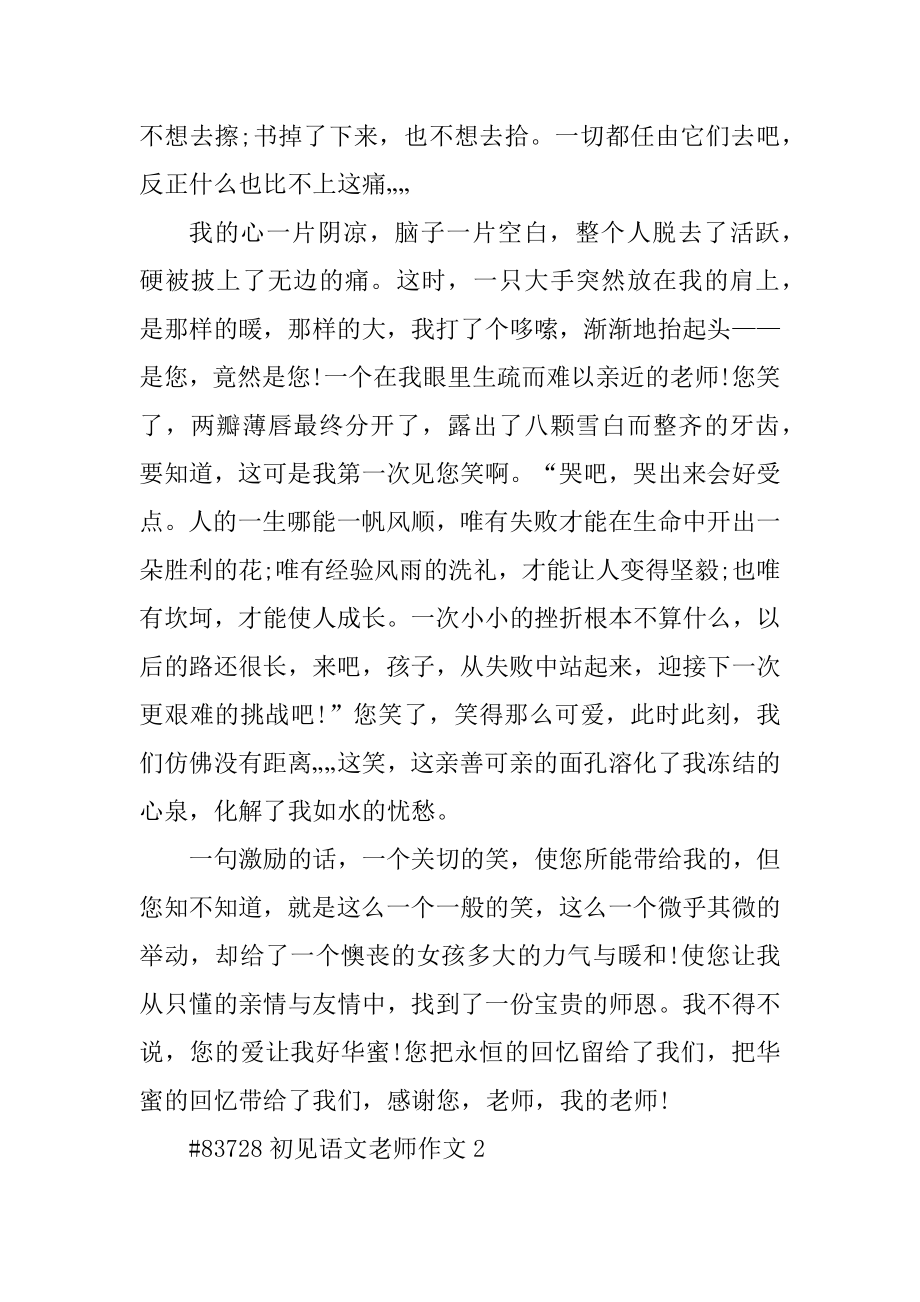 初见语文老师作文汇总.docx_第2页