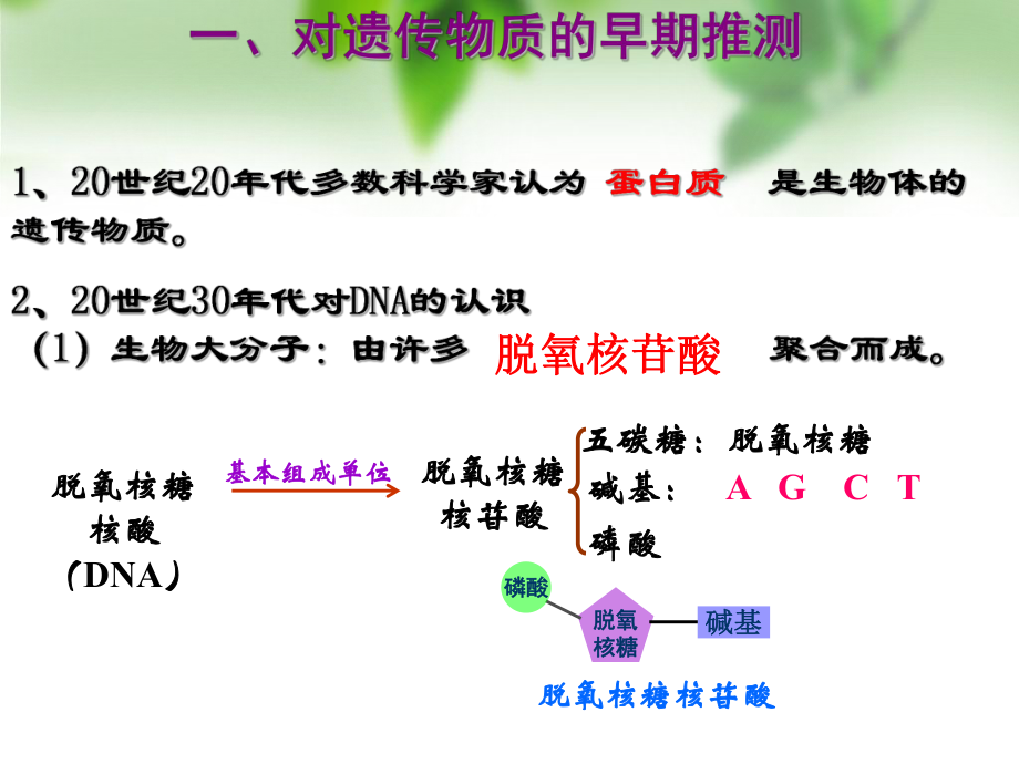 第一节DNA是主要的遗传物质3.ppt_第2页