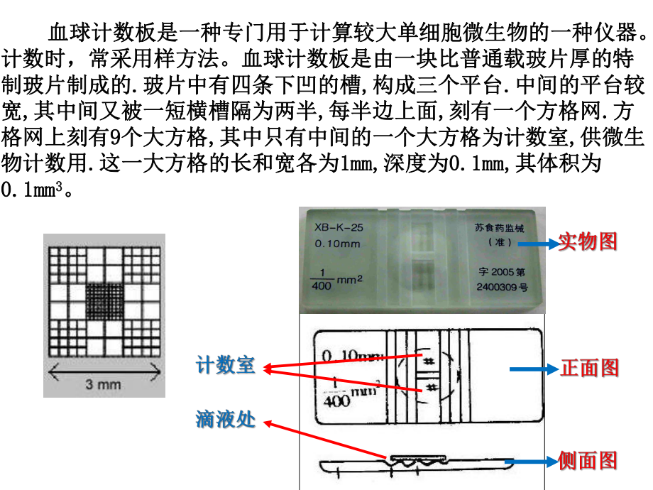 血球计数板的使用方法.ppt_第2页