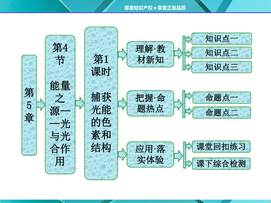 第1部分第5章第4节第1课时　捕获光能的色素和结构.ppt_第1页