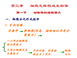 动物体的结构层次1.ppt