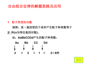 自由组合定律解题思路.ppt