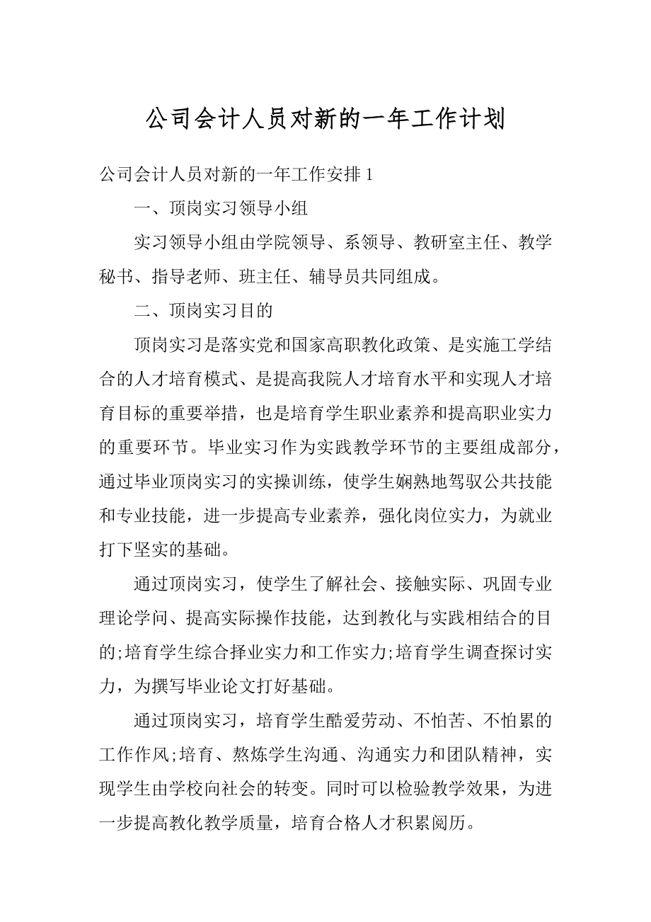 公司会计人员对新的一年工作计划精品.docx_第1页