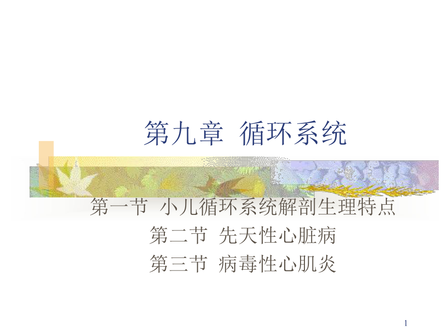 儿科护理完整PPT课件第九章循环系统.ppt_第1页