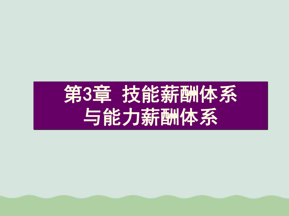 技能薪酬体系与能力薪酬体系ppt课件.ppt_第1页