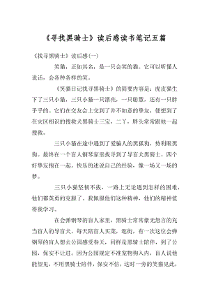 《寻找黑骑士》读后感读书笔记五篇精选.docx