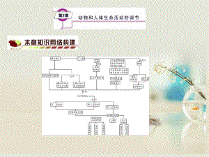 【名师金典】2014高考生物一轮复习（基础知识整理+重难点聚集）第2章动物和人体生命活动的细节课件新人教版必修3.ppt