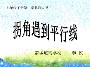 平行线间的折线问题ppt课件.ppt