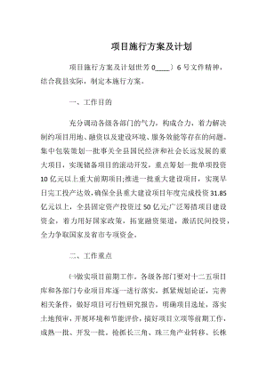 项目施行方案及计划_1.docx