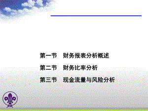 财务报表分析概述及风险分析.pptx