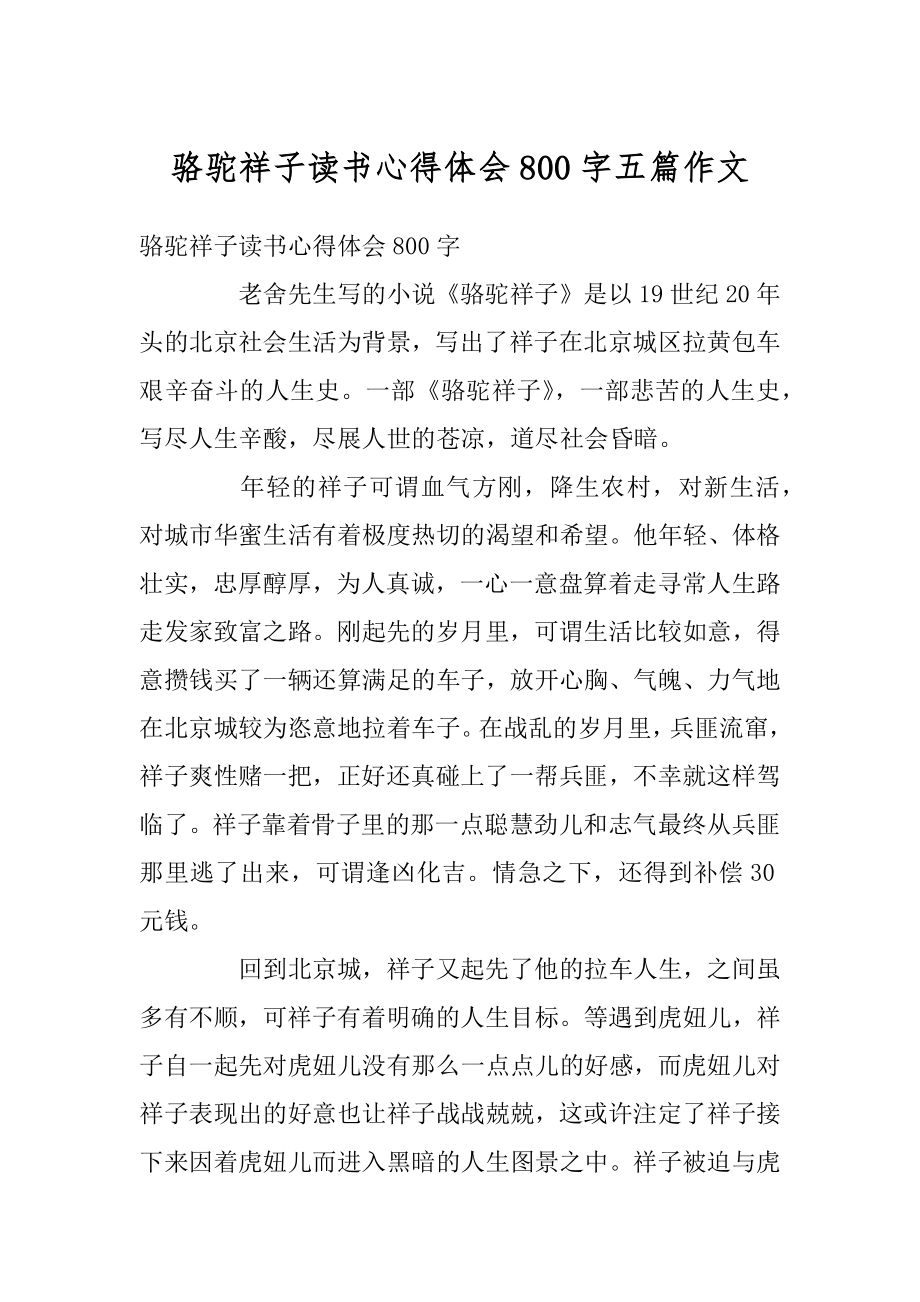 骆驼祥子读书心得体会800字五篇作文例文.docx_第1页