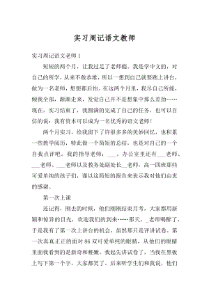 实习周记语文教师范例.docx