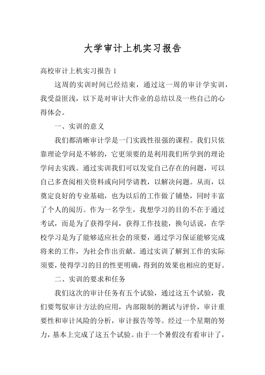 大学审计上机实习报告精品.docx_第1页