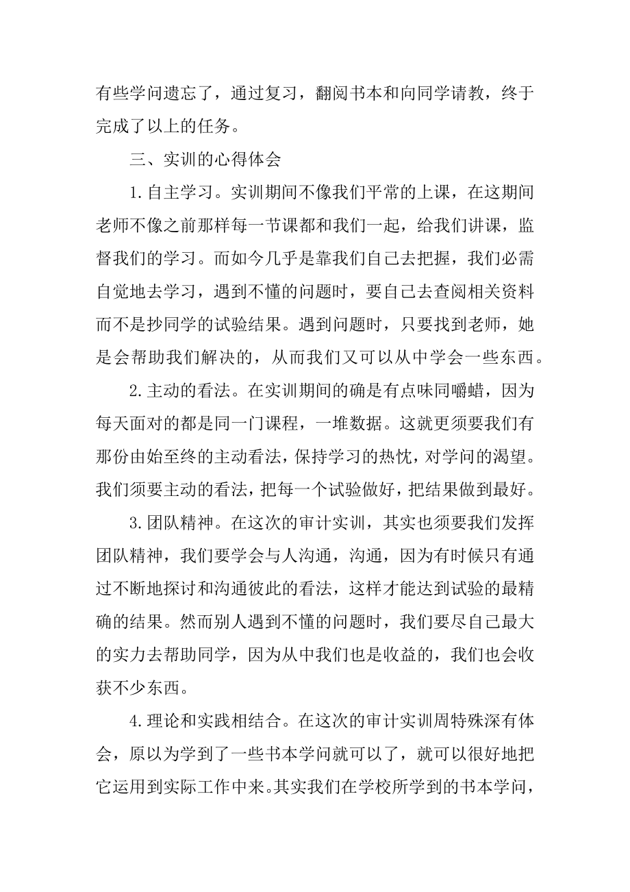 大学审计上机实习报告精品.docx_第2页