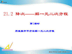 212用直接开平方法解一元二次方程.ppt