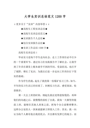 大学生实训总结范文1200字范本.docx