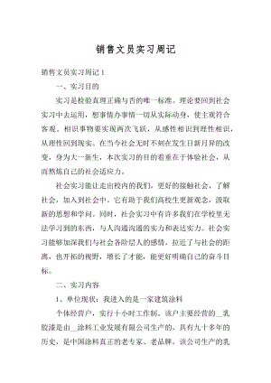 销售文员实习周记汇编.docx