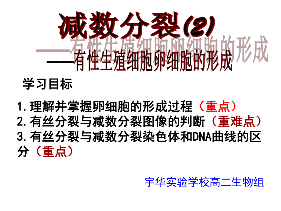 减数分裂课件--高一下学期生物人教版必修2.pptx_第1页