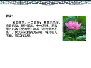 廉洁从业教育培训ppt课件.ppt