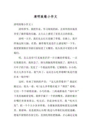 清明致敬小作文范文.docx