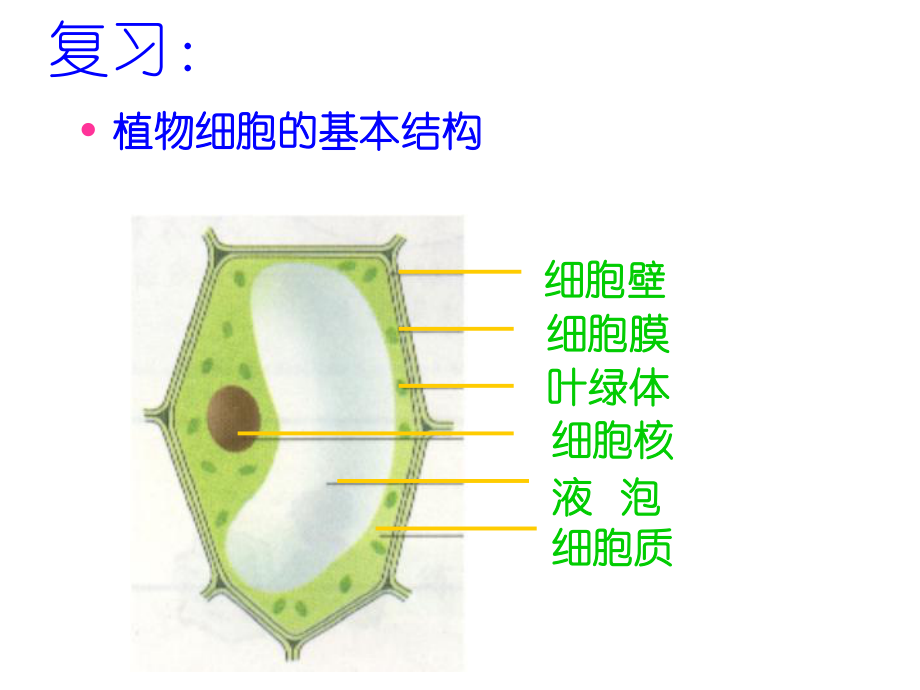 人教版七年级上册生物细胞的生活(2课时).ppt_第2页