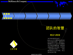 团队的智慧内部培训手册.pptx