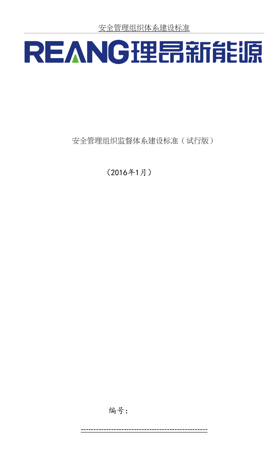 安全管理组织体系建设标准.doc_第2页