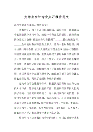 大学生会计专业实习报告范文精编.docx