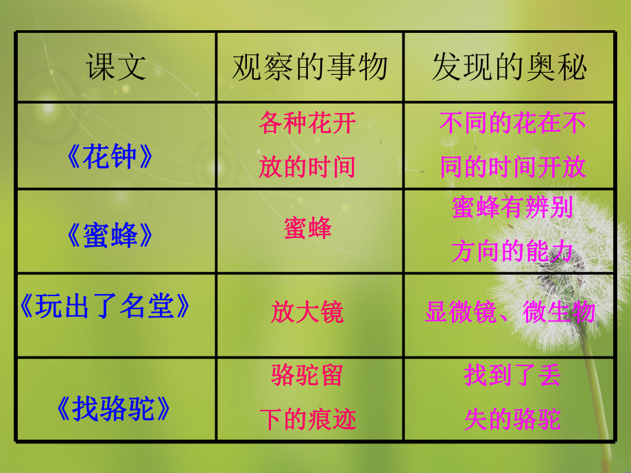 习作四观察日记.ppt_第2页