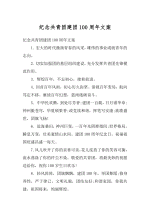 纪念共青团建团100周年文案范文.docx