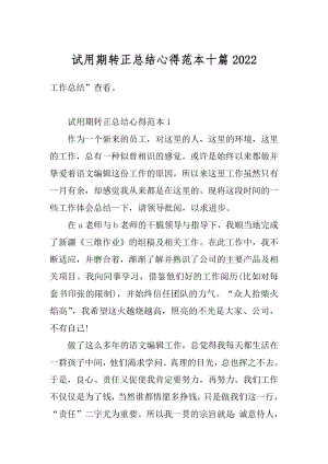 试用期转正总结心得范本十篇优质.docx