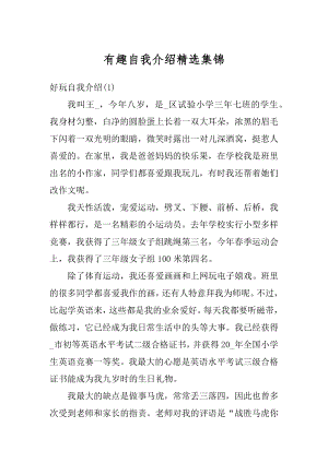 有趣自我介绍精选集锦例文.docx